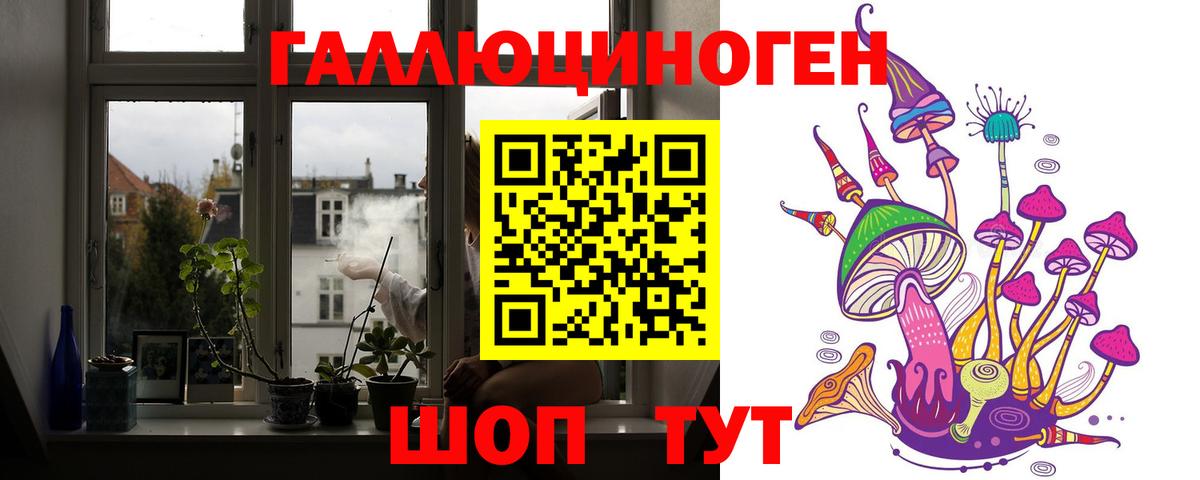 Галлюциногенные грибы прущие грибы Волхов
