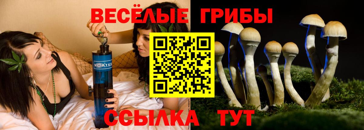 продажа наркотиков  Вход с VPN  Волхов  Псилоцибиновые грибы ЛСД 